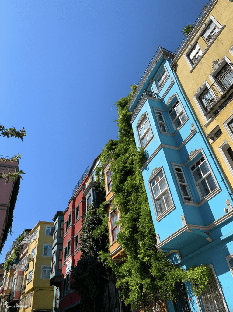 Maisons colorées dans le quartier historique de Balat